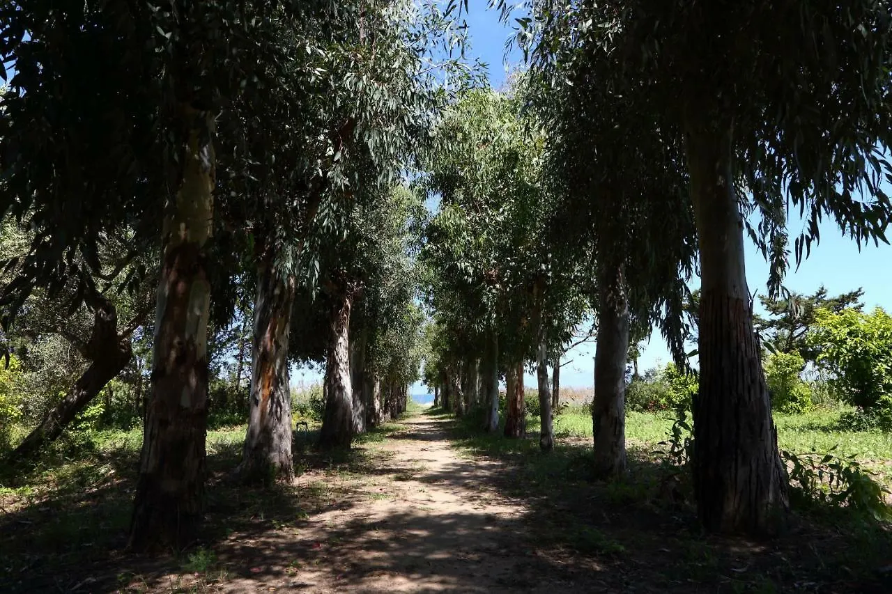 Tra Verde E Mare Βίλα Cefalù Σπίτι διακοπών