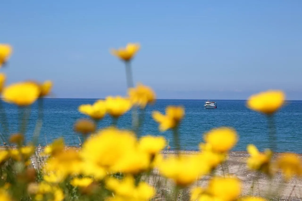 Σπίτι διακοπών Tra Verde E Mare Βίλα Cefalù